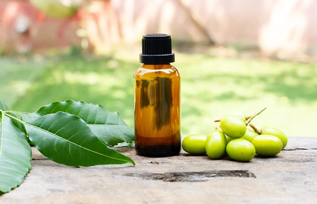 4 فایده فوق‌العاده روغن چریش برای سلامت و تقویت مو