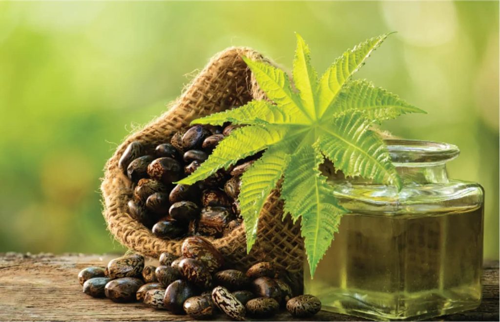 5 نوع از بهترین روغن برای رشد مو که واقعاً مؤثرند!!