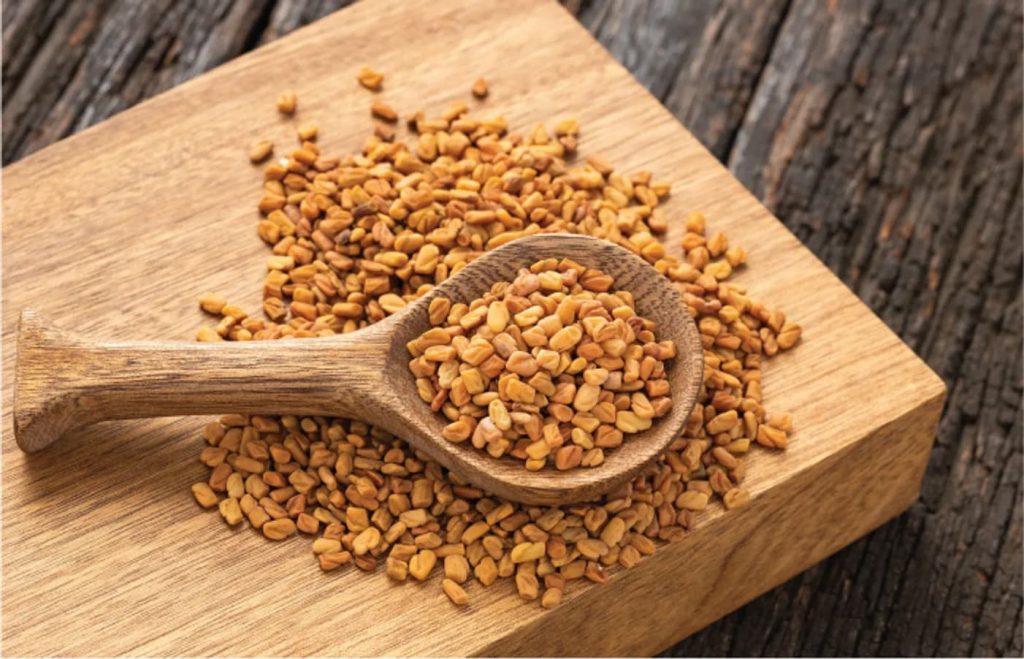 7 خاصیت بی‌نظیر تخم شنبلیله برای رشد سریع و سلامت مو