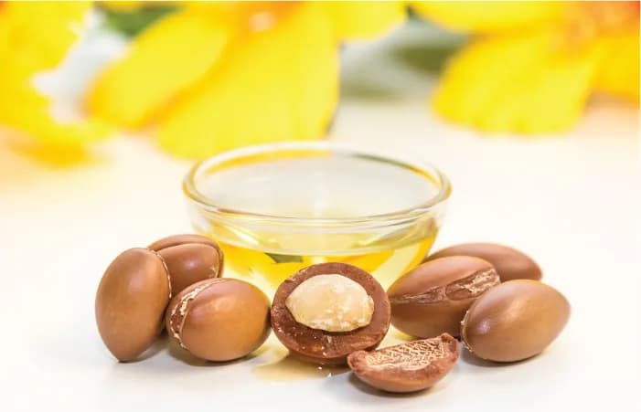 7 مزیت شگفت‌انگیز روغن آرگان برای مو و روش استفاده صحیح آن