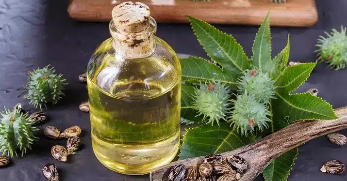 5 دلیل اصلی که باید از شی باتر و روغن کرچک برای موهایتان استفاده کنید!