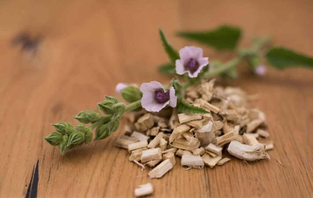7 تأثیر شگفت‌انگیز ترکیب نارگیل، بادام و گل ختمی برای تقویت مو به همراه معرفی محصول ویژه